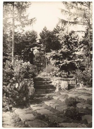 Garten Leo van den Bergh, Berlin-Kladow: Stufen in den waldigen Gartenteil