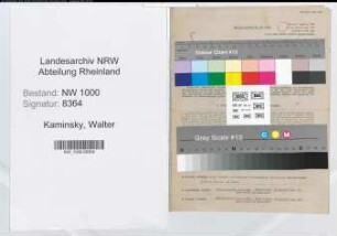 Entnazifizierung Walter Kaminsky, geb. 25.01.1899 (Bankdirektor)