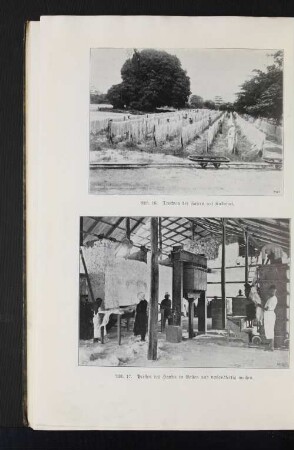 Abb. 16. Trocknen der Fasern auf Kullasini.