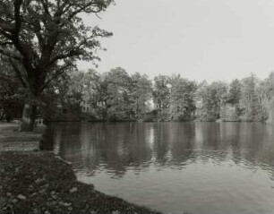 Teich, Kamenz (Kreis Kamenz)