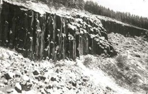 Westerzgebirge. Pöhlberg. Basaltsäulen im aufgelassenen Bruch an der Westseite