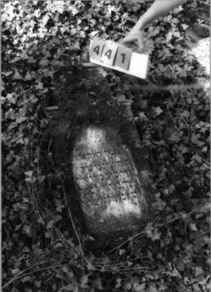 Grabstein 441 (Index: 99791995) Material: Sandstein Zustand: leicht verwittert, Stele liegend Maße HxBxT: 92x47x11 cm Beschreibung: Stele, gerader Abschluß, rechteckig erhöht, Schriftfeld eingetieft mit Rundbogenabschluß Symbolik: Blüten ?, Rundbogenfries: Grabstein 441