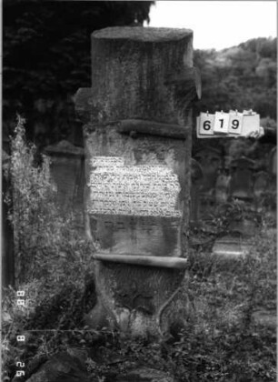 Grabstein 619 (Index: 100099808) Maße HxBxT: 170x57x57 cm Symbolik: Baumstamm: Grabstein 619