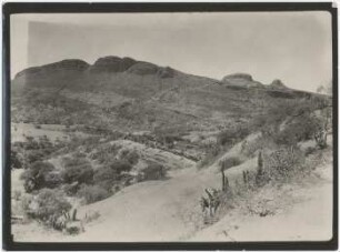 Trockendornbusch bei Candelaria in der Gegend von Sucre