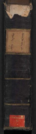 Moellendorff 51 a