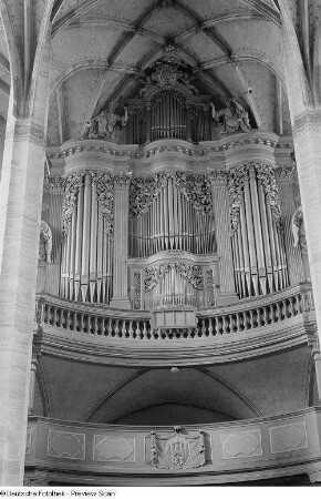 Silbermann-Orgel im Dom