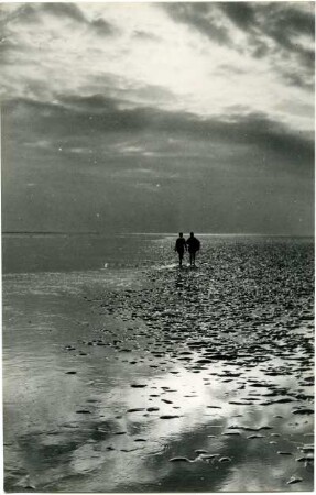 Wanderung im Wattenmeer