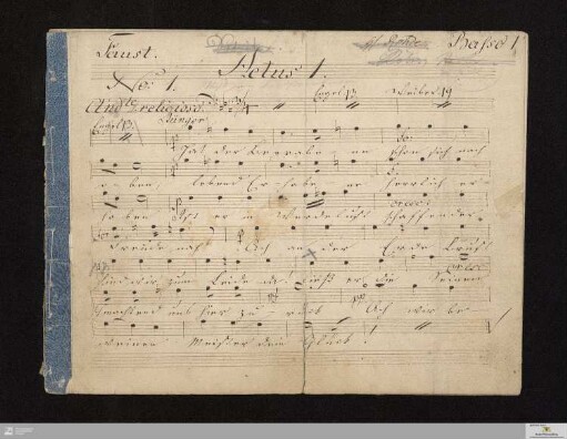 Bass 1 (7 Stimmen)