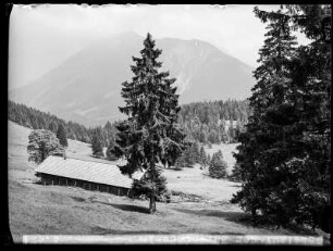 Auf der Bärenmoosalm