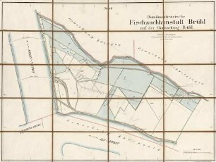 Domänenärarische Fischzuchtanstalt Brühl auf der Gemarkung Brühl