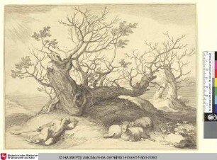 [View with gnarled Tree; Landschaft mit schlafendem Hirten und Schafherde vor einem knorrigen Baum]