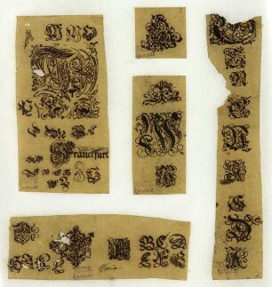Initialen aus Merian, Initialen