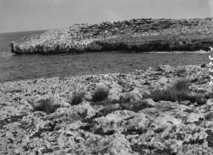 Küste : Aufnahme von felsiger Küste und Meer