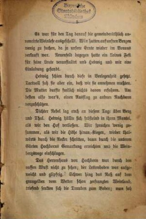 Die junge Frau : Roman, 2. Band