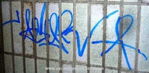 ASeR*