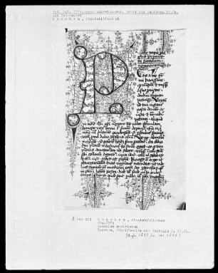 Speculum novitiorum