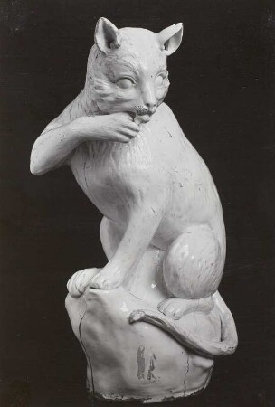 Katze