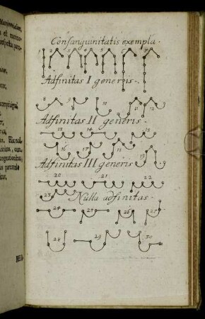 Consanguinitatis exempla.