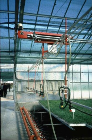 Fotografie: Gartenbautechnik-Gewächshaus, Bewässerung