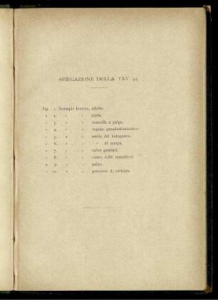 Spiegazione Della Tav. 95