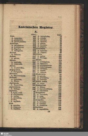 Lateinisches Register