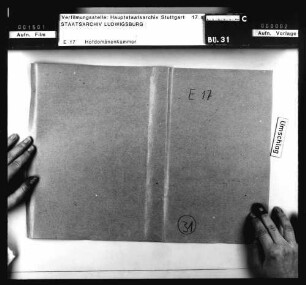 Köngen: Verpachtung und Eigenverwaltung der Schloßgüter durch das Hofkameralamt Köngen