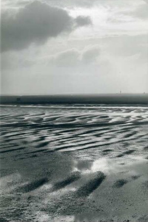 Landschaft im Watt
