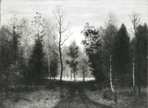 Waldlandschaft (Webicht bei Weimar)