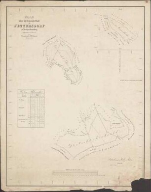 Plan über den Gemeinde-Wald von Wettersdorf auf dortiger Gemarkung