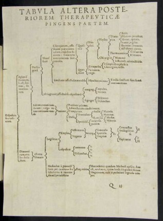 Tabula Altera Posteriorem Therapeuticae Pingens Partem.