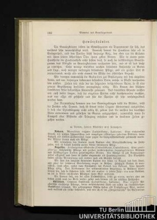 [IV.] Gewürzkräuter.