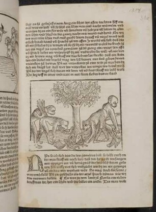 Die ungelehrigen Affen und der ratgebende Vogel; (Kapitel II: Von dem Löwen und dem Ochsen)