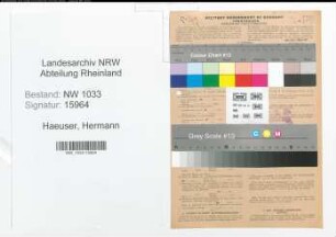 Entnazifizierung Hermann Haeuser , geb. 18.07.1903 ()