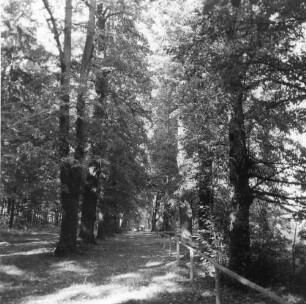 Wanderweg "Grabentour" zwischen Reinsberg und Krummenhennersdorf im Tal der Bobritzsch