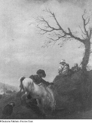 Der Schimmel an der Tränke