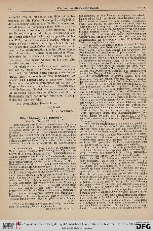 8: Die Bildung der Patina