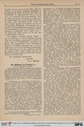 8: Die Bildung der Patina