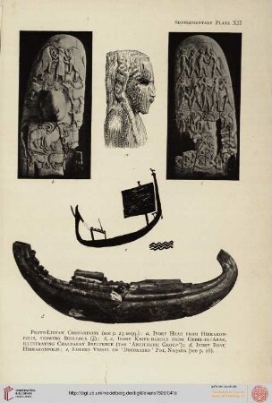 Supplementary plates XII-XIX