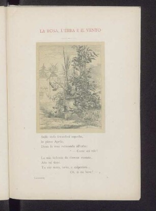 La rosa, l' erba e il vento