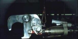 Fotografie: Tieridentifikation, Implantat, Transponder