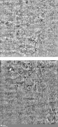 Lilienschild + IESV / LW = Bd.1,S.251/252+281/282
