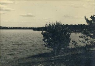 Fotografie, Driesen (Drezdenko)
