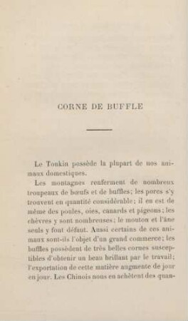 Corne de buffle