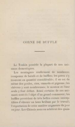 Corne de buffle