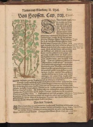 Von Hopffen, Cap. XCII