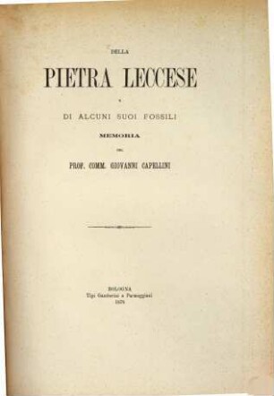 Della Pietra Leccese e di alcuni suoi fossili