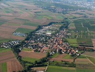 Pfaffen-Schwabenheim