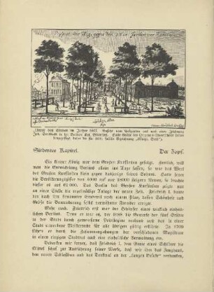 Siebentes Kapitel. Der Zopf