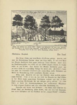 Siebentes Kapitel. Der Zopf