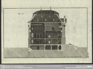 Tab. XIV.